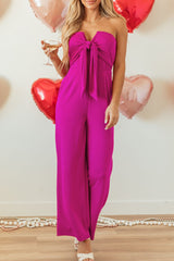 LIZAKOSHT  -  Tied Tube Wide Leg Jumpsuit