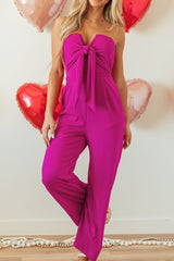 LIZAKOSHT  -  Tied Tube Wide Leg Jumpsuit