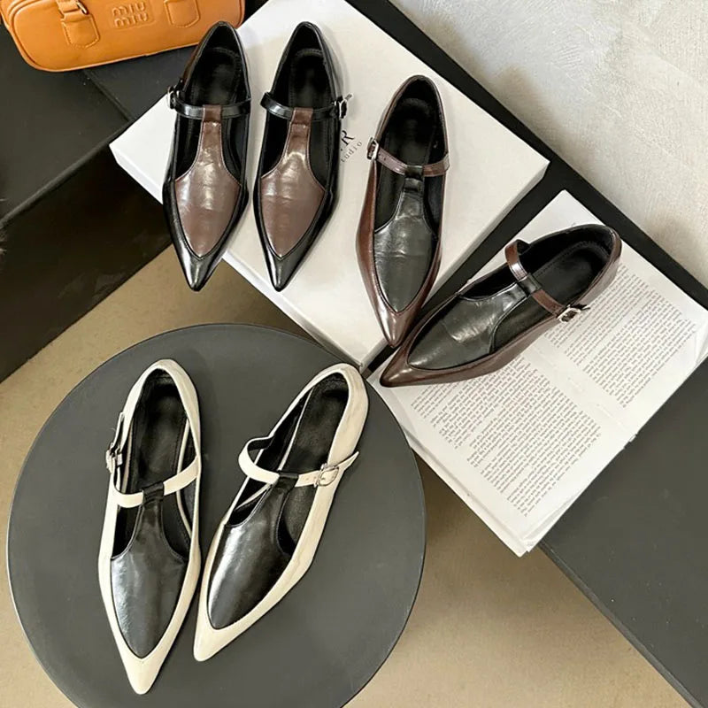 LIZAKOSHT 2024 Spring Women Pumps Shoes New Mules Shoes Pointed Toe Slip On For Ladies Casual Loafer Shoes Flat Soft Sole Design Fashion