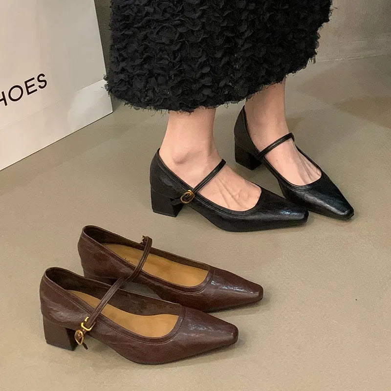 LIZAKOSHT  -  Brown Spring New Brand Women Mary Jane Shoes Fashion Round Toe Shallow Single Shoes Square Med Heel Dress Pumps Shoes