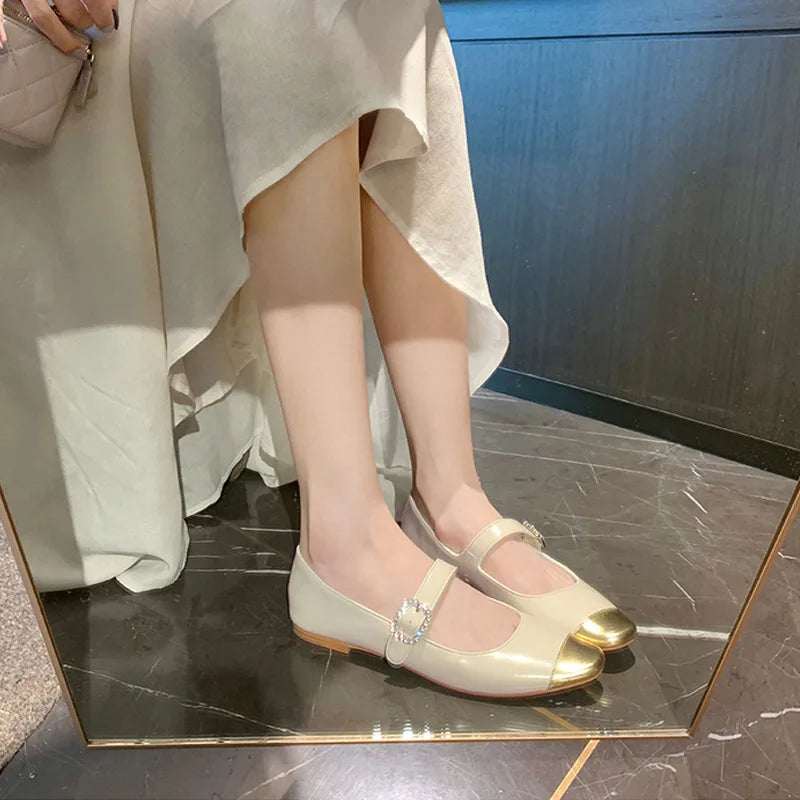 Lizakosht Fashionable small square toe thick heels, Mary Jane shoes, silver diamond buckle, color matching, light cut single shoe, female