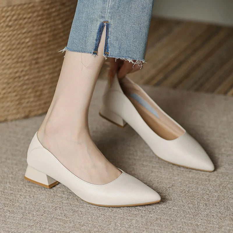 LIZAKOSHT  -  Women 3cm High Heels Versatile Comfortable Office Pointed Toe Shoes Lady Soft Leather Classic Shallow Outside Daily Pumps