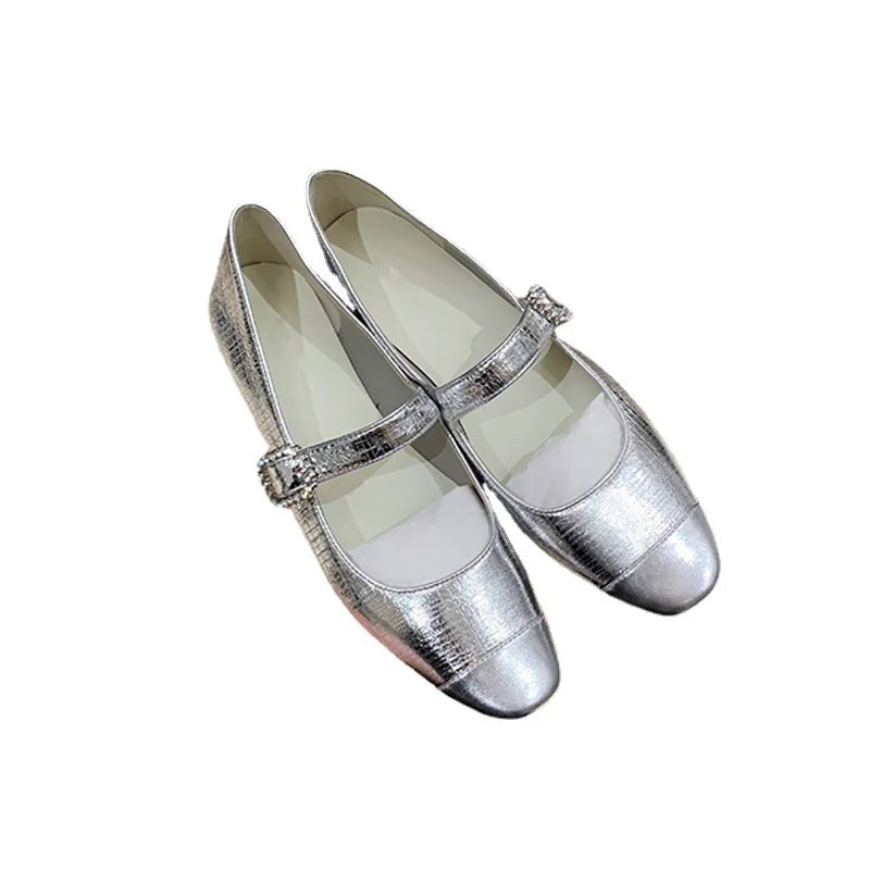 Lizakosht Fashionable small square toe thick heels, Mary Jane shoes, silver diamond buckle, color matching, light cut single shoe, female