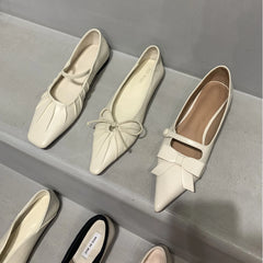 Lizakosht New Spring Flats Shoes Fashion Bow-knot Casual Women Loafers Pointed Toe Shallow Slip On  Elegant Ballerina Shoes