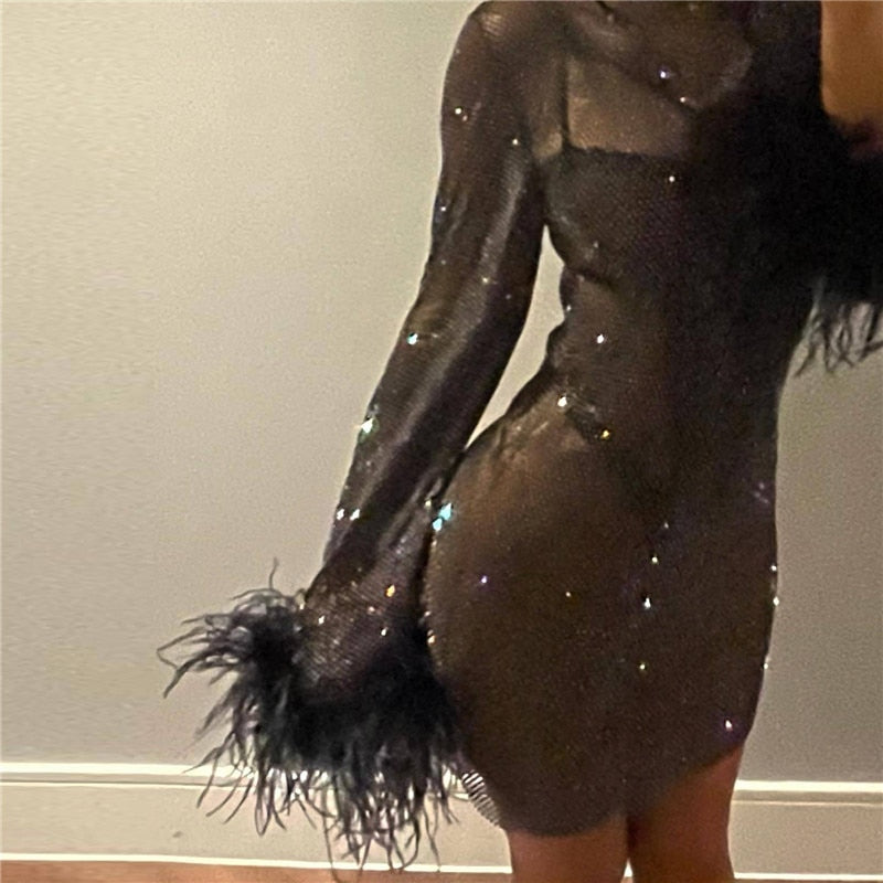 Lizakosht Sexy Bling Mesh Feathers Rhinestone Women Dress Long Sleeves Diamond Fishnet Hollow Out See Through Evening Party Dress